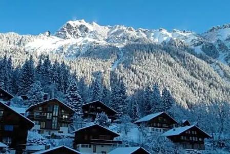 Belvédère Wengen - 45