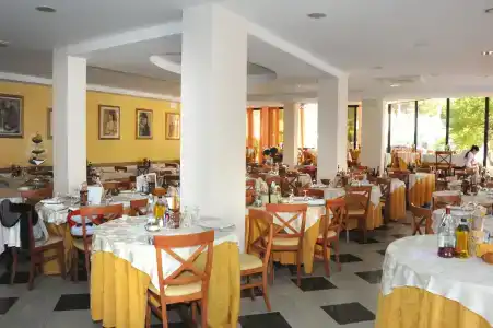 Franca - 16