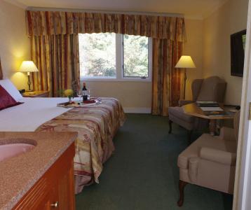 Stoweflake Mountain & Spa - 1