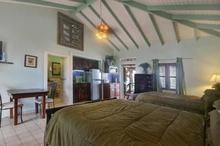 Mary's Boon Beach Plantation Resort & Spa - 106