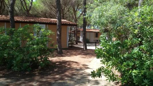 Camping Village Il Sole - 58