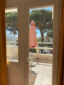 Le Ceinturon - 5