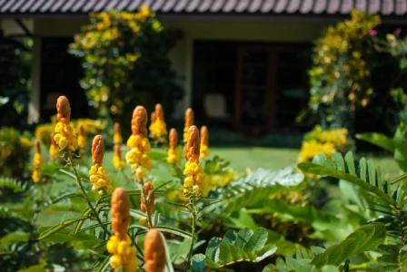 Maekok River Village - 36