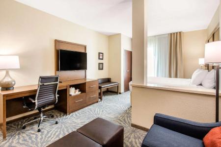 Comfort Suites - South Austin - 47