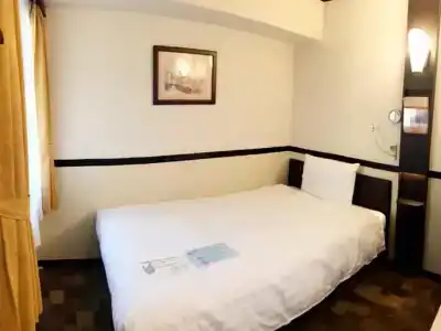 Toyoko Inn Tokyo Otemachi A1 - 17