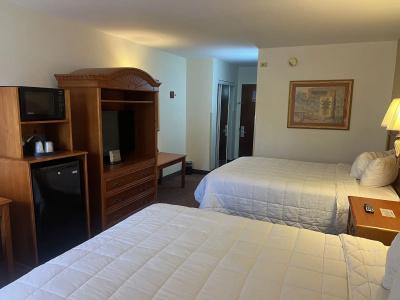 Orlando Palms - 4