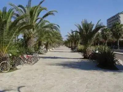 La Playa - 11