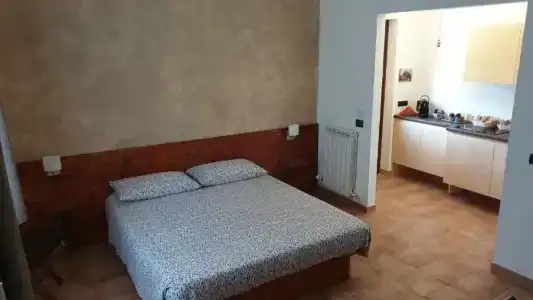 L'Antico Vigneto - 12