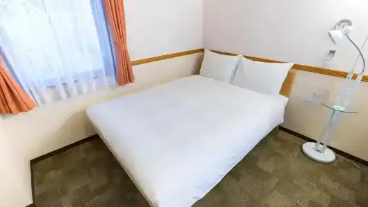 Toyoko Inn Ekimae - 1