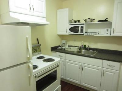 Village Inn & Suites - - 20