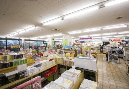 Active Resorts Kirishima - 9