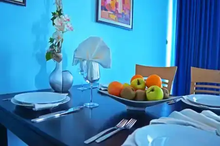 Aqua - 100