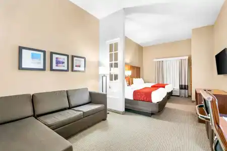 Comfort Suites Orlando Airport - 2
