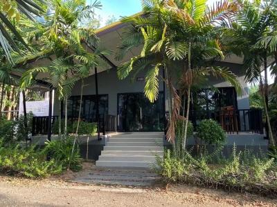 Krabi Inn - 44