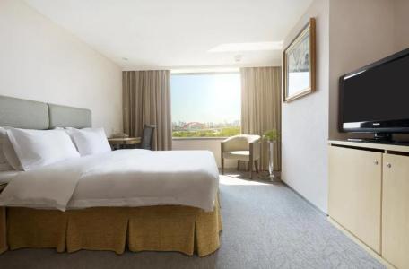 Holiday Inn Wuhan Riverside, An Ihg - 97