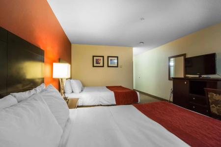Comfort Inn & Suites Airport South - 2