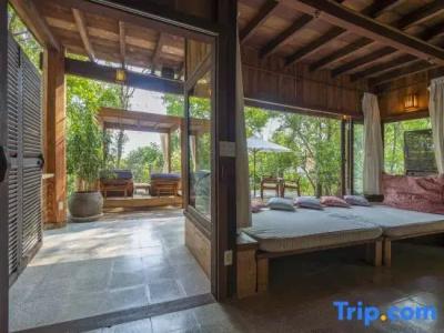 Mango Bay Resort - 106