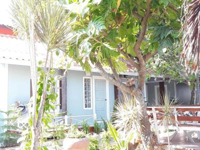 Barbados Terrace - 19