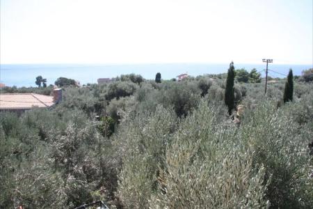 Sea Sun - 130