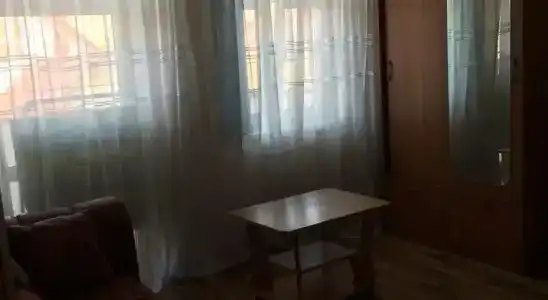 Дельфин - 1