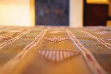Riad Al Mamoune - 30