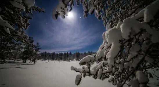 Wilderness Muotka & Igloos - 5
