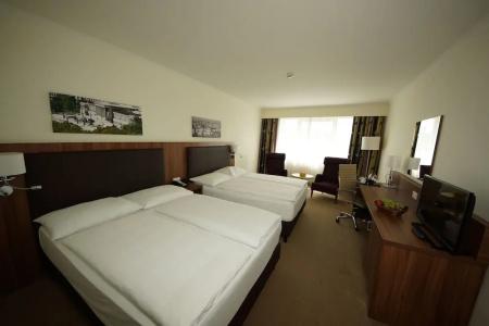 Hilton Garden Inn Vienna South - 68