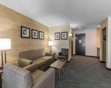Comfort Inn & Suites Airport North - 23