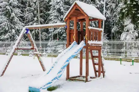 Веста - 20