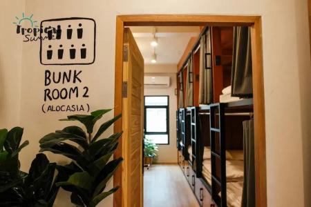 Tropical Summer Hostel - 22