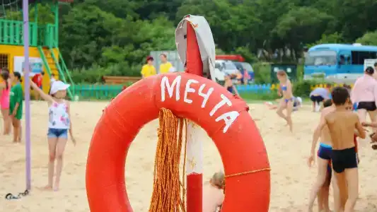Мечта - 12