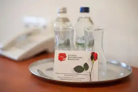 Centrum Konferencyjno - Bankietowe Rubin - 27