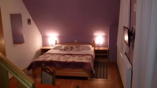 Guest House Wolf - 12
