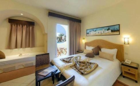 Green Palm - 5
