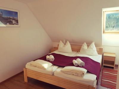Gasperin Bohinj - 24