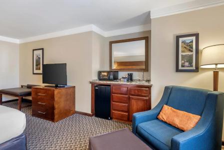 Comfort Inn & Suites - 59