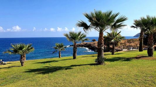 Stella Beach - 12