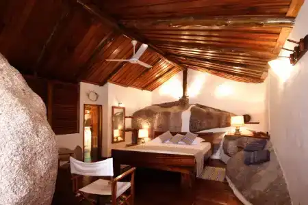 Chauve Souris Relais - 9