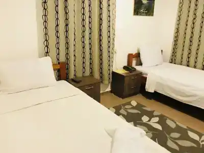 Cam - 36