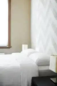The - 2