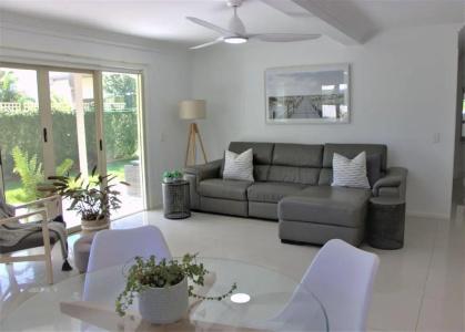 Noosa River Palms - 246