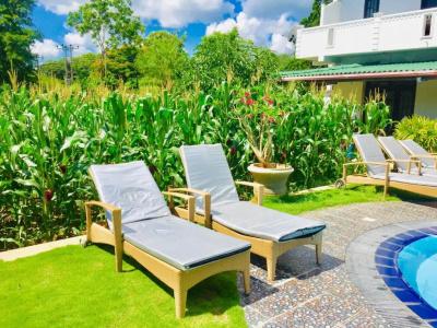 Saman Resort Yala - 93