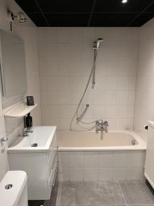 de Duif Lisse - Schiphol - 61