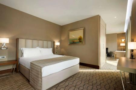 Ramada by Wyndham Sakarya - 5