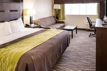 Comfort Inn Downtown Charleston - 58