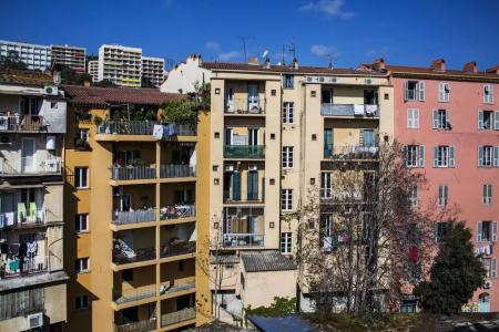 le Dauphin - 12
