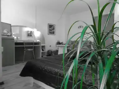 Color - 10