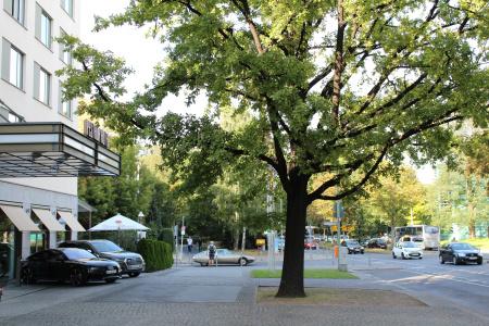 Pestana Berlin Tiergarten - 37