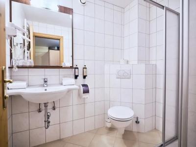 Kirchboden by Alpeffect Hotels - 5