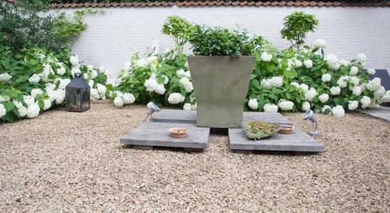 Logies Amelias - 9